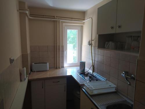 Kuchyň nebo kuchyňský kout v ubytování Twins House - Janka Apartman