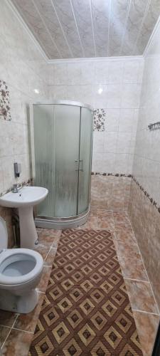 a bathroom with a shower and a toilet and a sink at Гостиница Асем-Ай in Taraz