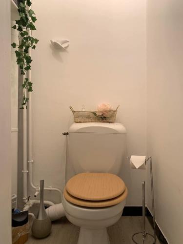 La salle de bains est pourvue de toilettes et d'un panier. dans l'établissement Le Petit Provençal, à Béziers