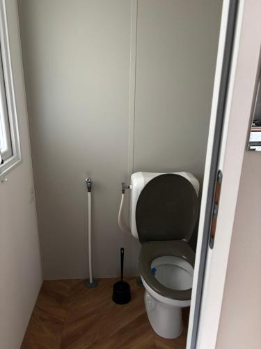 GastesにあるMobil-home 3 chambres, mh 459の小さなバスルーム(トイレ付)