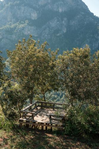 a wooden platform in the middle of some trees at Olive Garden Kabak in Faralya