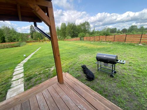 a black dog sitting on the grass next to a grill at Drewniana ostoja in Jelonek