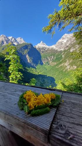 Paesaggio naturale nelle vicinanze dell'appartamento