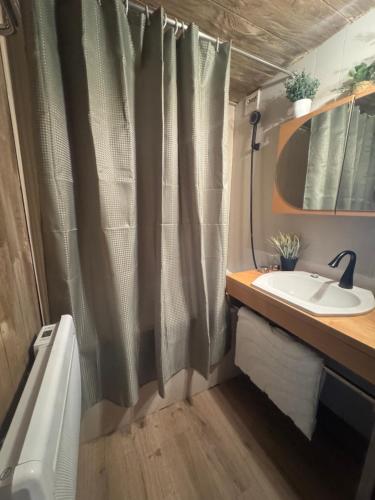 une salle de bain avec un lavabo et un rideau de douche dans l'établissement Appartement au pied des pistes, à Taninges