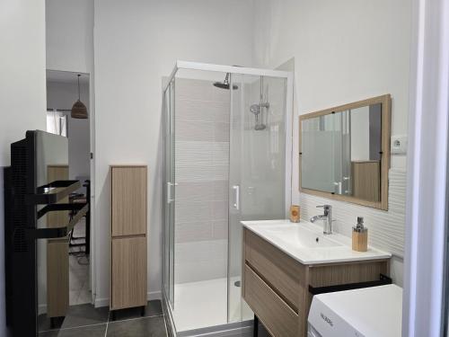 une salle de bain avec une douche, un lavabo et un miroir dans l'établissement Charmant T3 à Marseille-Joliette, à Marseille