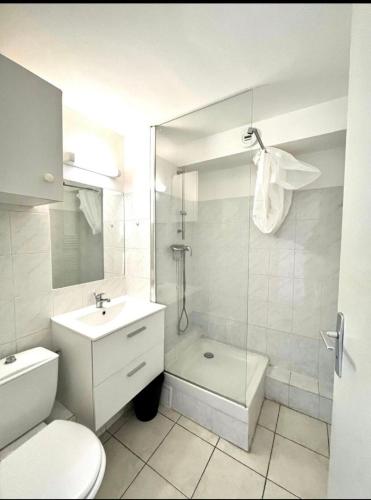 une salle de bain avec une douche, des toilettes et un lavabo dans l'établissement Studio rive droite, à Palavas-les-Flots