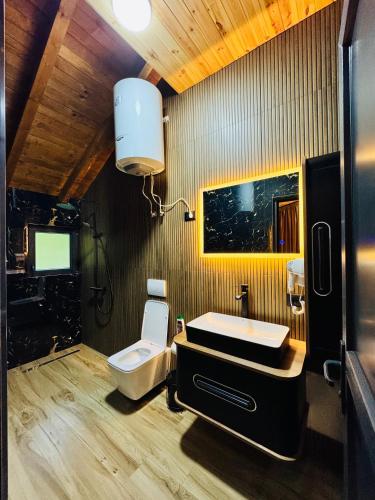 Un baño con lavabo e inodoro. en Krojet e Rrogamit, en Valbonë