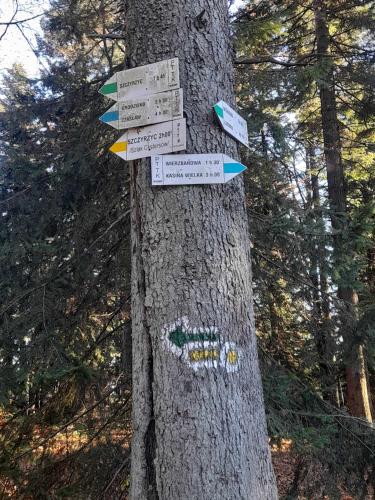 a tree with signs attached to a tree at Pod Górą in Wiśniowa