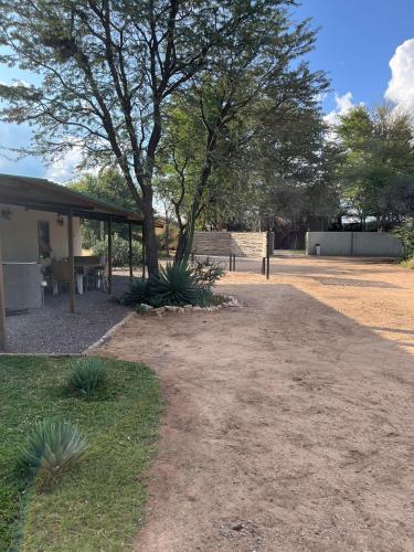 a tree sitting next to a building with a bench at The Stables in Ghanzi