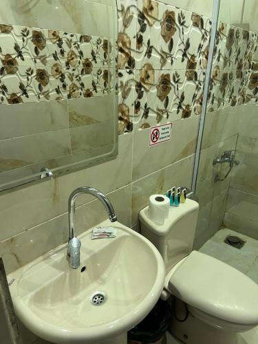 a bathroom with a sink and a toilet and a mirror at Isis pyramids in Giza
