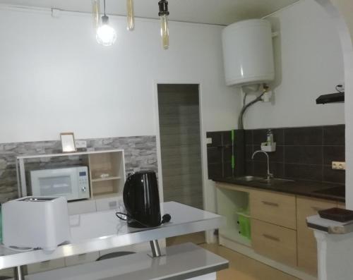トロワにあるLE KLEBER au choix VUE SUR PARC ou RUE simplicité d'accès, charme et confort garantisのキッチン(白いカウンター、電子レンジ付)