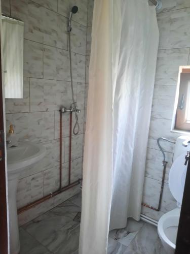 a bathroom with a shower curtain and a sink at Casa ALINA ȘI ANDREEA in Arieşeni