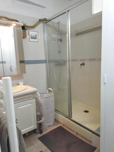 une salle de bain avec douche et lavabo dans l'établissement Agréable appartement à 3min à pied de la plage, à Argelès-sur-Mer