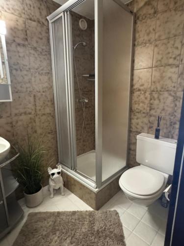 a bathroom with a shower and a toilet and a dog at Studio Heaven in Grächen