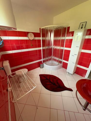 a bathroom with a shower and a leaf on the floor at Apartman Anastazija in Rovinj