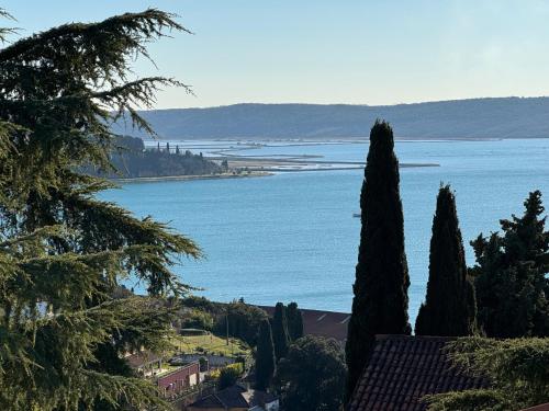 Apartma Alba - Seaview Apartment with Private Terrace & Parking
