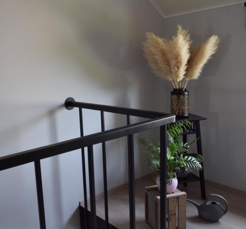 a staircase with a black rail and feathers in a vase at Chez Martine et Jean-Marc in Tintigny