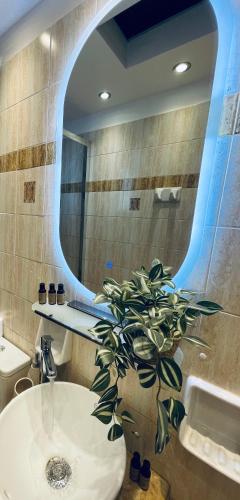 a bathroom with a sink and a mirror and a plant at Semiramis Guesthouse in Adamas