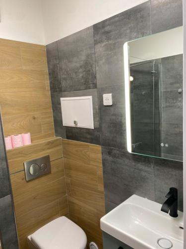 a bathroom with a toilet and a sink and a mirror at Vacances à la mer in Cagnes-sur-Mer