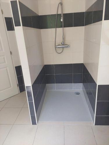 La salle de bains est pourvue d'une douche et d'une baignoire. dans l'établissement Notre petit coin de paradis, à Saint-Germain-du-Bel-Air