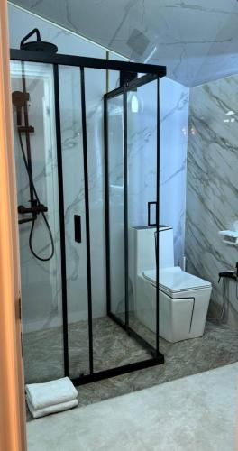 a bathroom with a shower with a toilet in it at FlowerHouse in Karakol