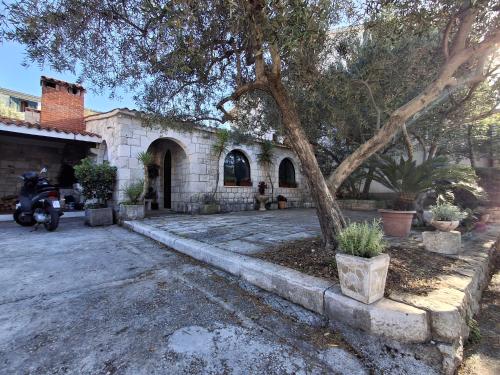 Studio apartman Albina