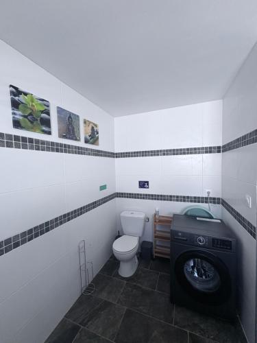 un bagno con WC e lavatrice di Ti case muguets a Saint-Paul