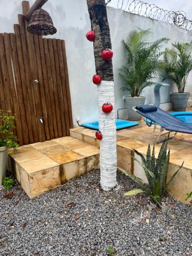 a tree with red balls on it in a yard at CASA DA PIPA in Pipa