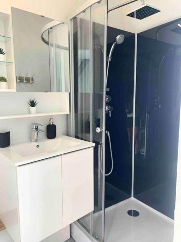 une salle de bain avec douche et lavabo dans l'établissement Le Roof top Béthunois - Appart hôtel duplex centre - all confort, à Béthune