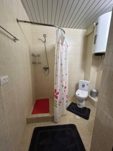 a bathroom with a shower and a toilet at 12 Месяцев in Cholpon-Ata