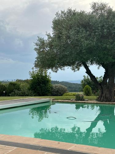 Photo de la galerie de l'établissement Stone villa in Drôme with pool, Jacuzzi, à Montmeyran