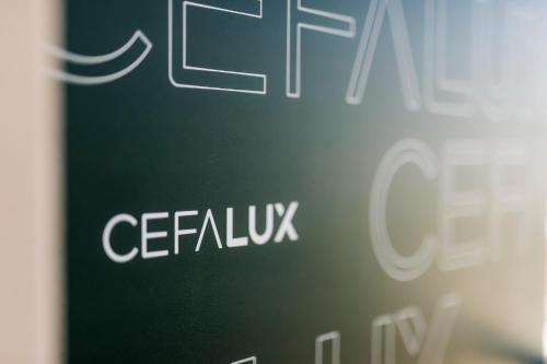 a close up of a green sign with the word cenille at CefaLux - Apartments in Cefalù
