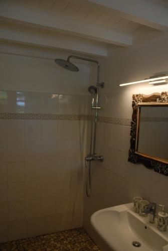 a bathroom with a shower with a sink and a mirror at Villa Les Nereides in Le Moule