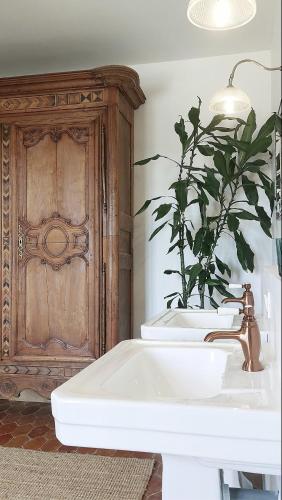 La salle de bains est pourvue d'un lavabo et d'une plante en pot. dans l'établissement Le Mûrier, à Vaison-la-Romaine