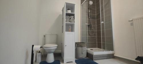 a bathroom with a white toilet and a shower at Appartement cosy à Chartres avec balcon de 50 m² in Chartres