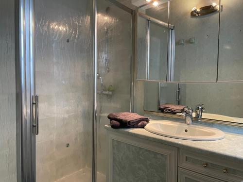une salle de bain avec une douche, un lavabo et un miroir dans l'établissement Conques en Rouergue, maison de village,Grand Vabre, à Conques-en-Rouergue