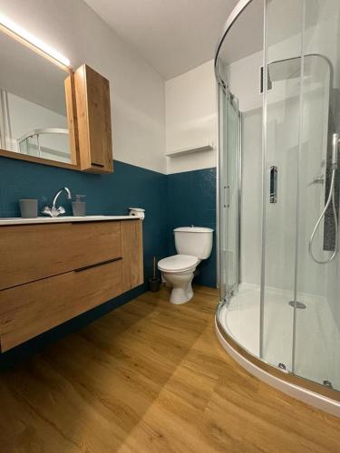 une salle de bain avec toilettes et douche en verre dans l'établissement Studio à Gréoux les bains - Les Fontaines, à Gréoux-les-Bains