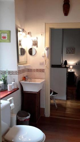 a bathroom with a sink and a toilet at Chambres d'hôtes Belle Occitane in Tarascon-sur-Ariège
