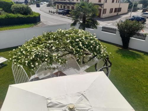 a white table with a bouquet of flowers on a balcony at B&B Villa Griselda in Quinto di Treviso
