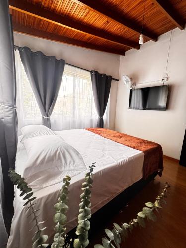 a bedroom with a bed with curtains and a cactus at Hostal Galería de la Montaña, Medellin in Estación El Salto