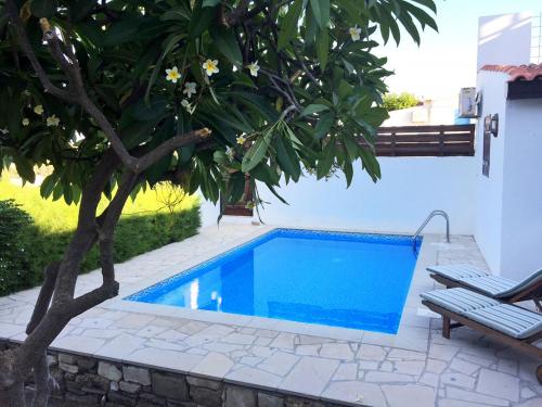 a swimming pool with a tree next to a house at Cobblers in Maroni
