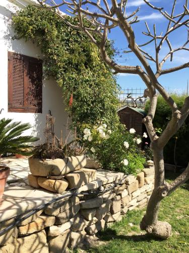 a stone wall in front of a house with a tree at Cobblers in Maroni