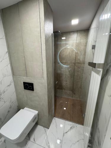 a bathroom with a shower with a toilet and a shower at Harley Quinn Apartment in Poprad