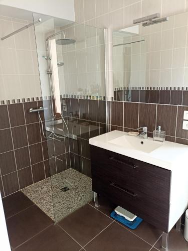 une salle de bain avec un lavabo et une douche avec un miroir dans l'établissement Maison de campagne en brenne, à Saulnay