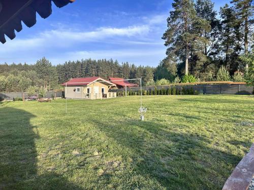 a dog in a field with a house in the background at Wczasy Pod Sosnami domek z kominkiem in Krutyń