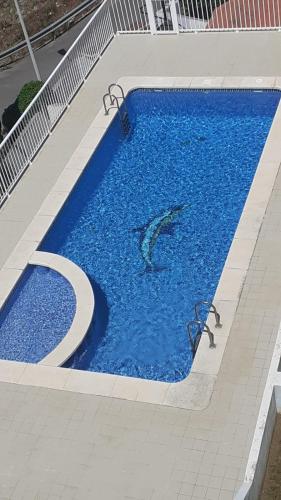 Superbe appartement