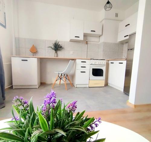 Gdańsk Oliwa Oliwki i wino