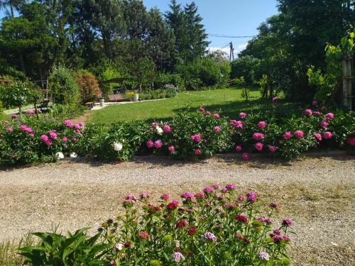 Φωτογραφία από το άλμπουμ του Szőlőskert Apartman σε Cserszegtomaj