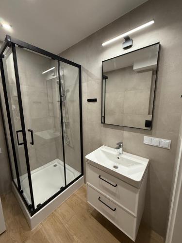 a bathroom with a shower and a sink and a mirror at Apartament Sanok in Sanok