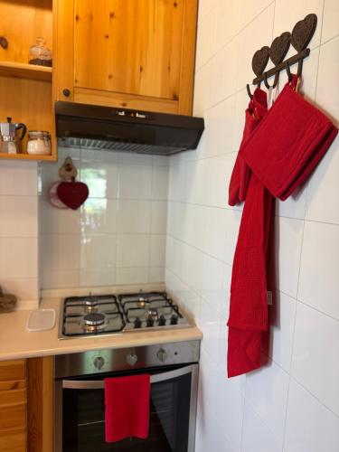 a kitchen with a stove and red towels on the wall at La Piccola Noghera in Pieve di Cadore